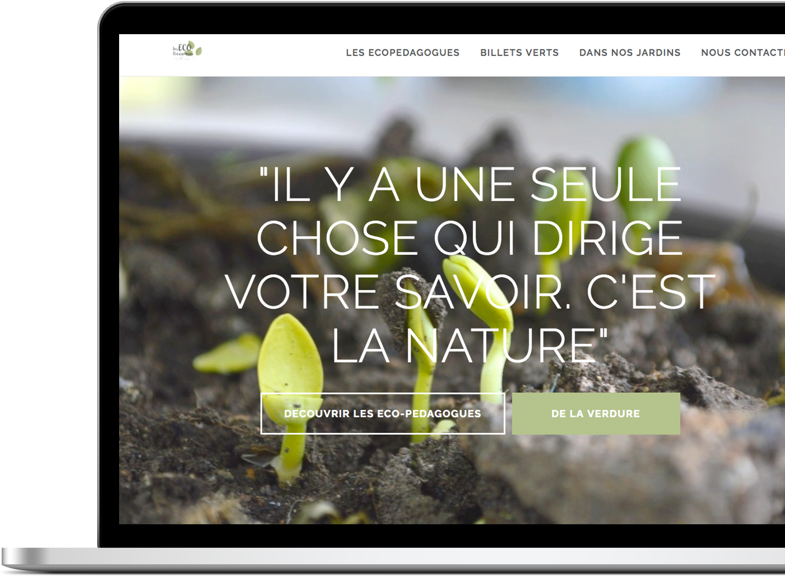 illu-samloorie-home-web